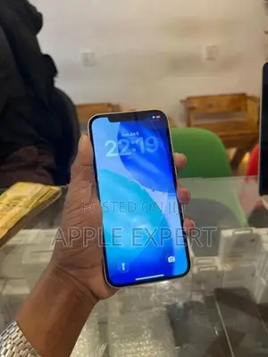 Apple iPhone 12 (Used)
