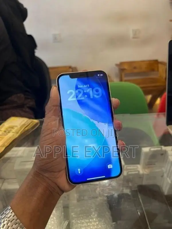 Apple iPhone 12 (Used)