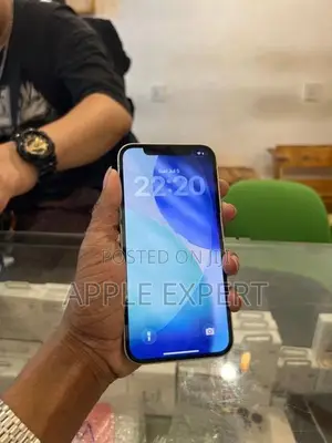 Apple iPhone 12 (Used)