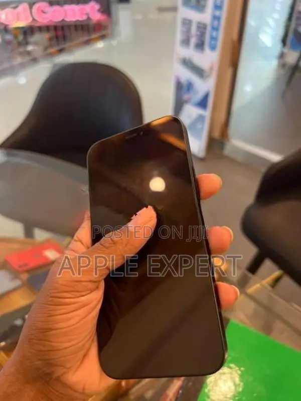 Apple iPhone 12 (Used)