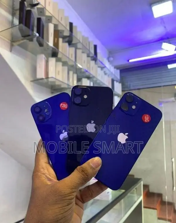 Apple iPhone 12 mini 64GB (Used)