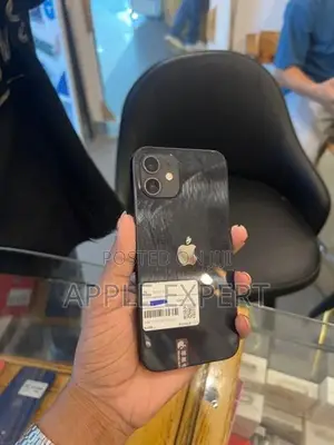 Apple iPhone 12 (Used)