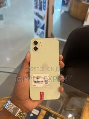Apple iPhone 12 (Used)
