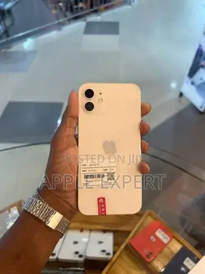 Apple iPhone 12 (Used)