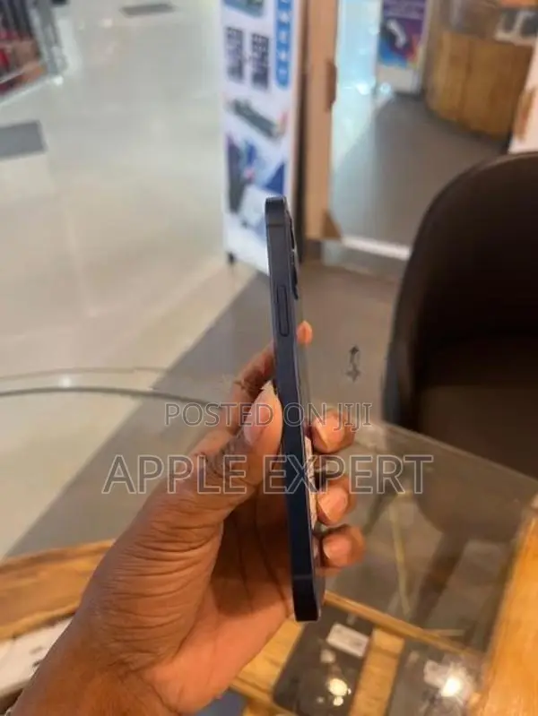 Apple iPhone 12 (Used)