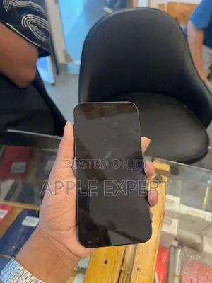 Apple iPhone 12 (Used)