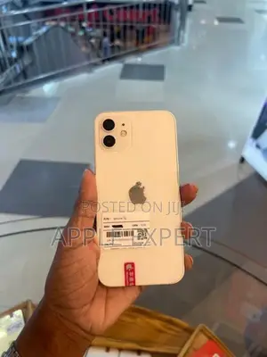Apple iPhone 12 (Used)