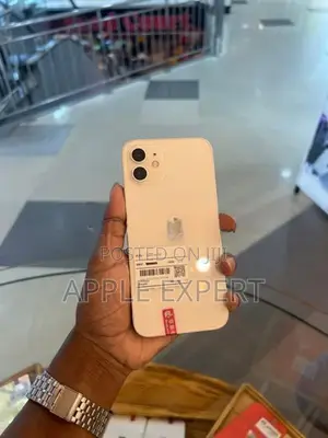 Apple iPhone 12 (Used)