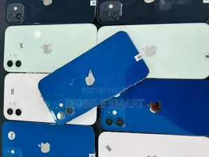Apple iPhone 12 256GB (Used)