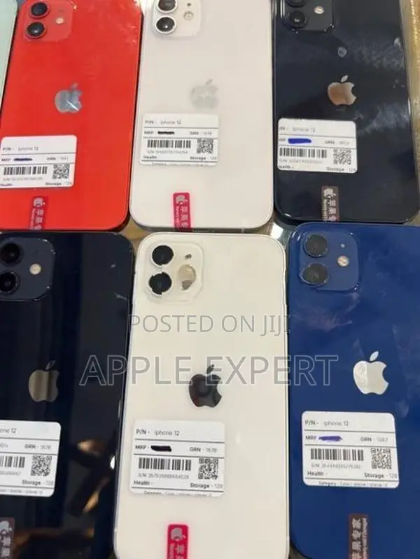Apple iPhone 12 (Used)