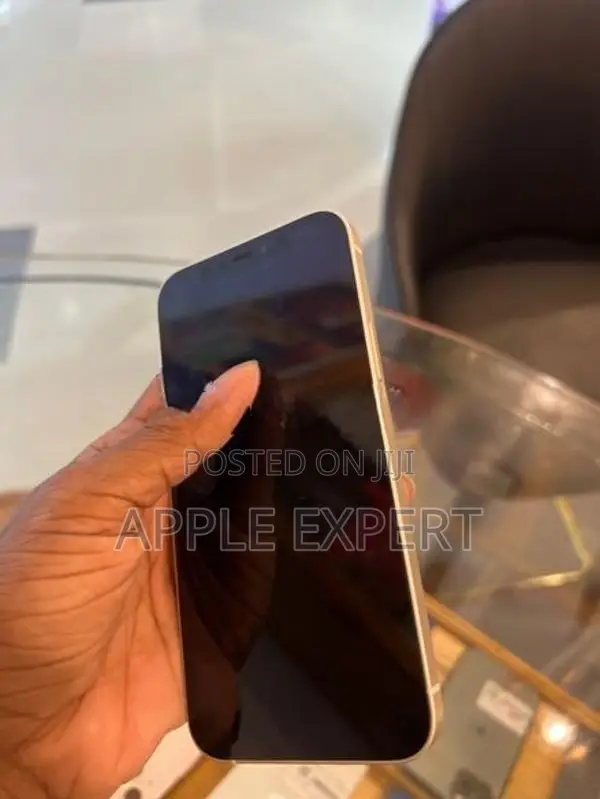 Apple iPhone 12 (Used)