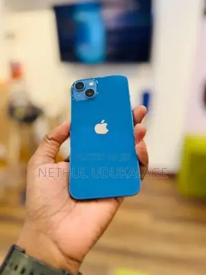 Apple iPhone 13 256GB (Used)