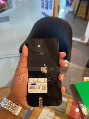 Apple iPhone 12 (Used)