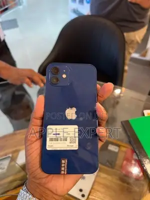 Apple iPhone 12 (Used)