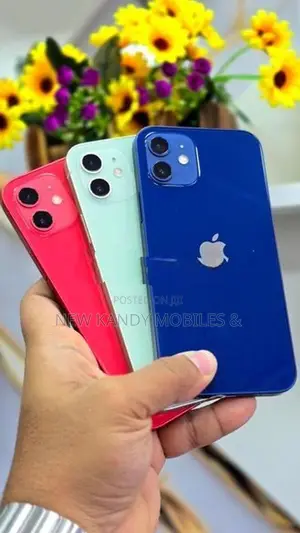 Apple iPhone 12 128GB (Used)