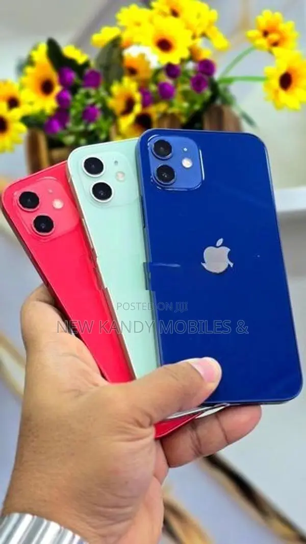 Apple iPhone 12 128GB (Used)