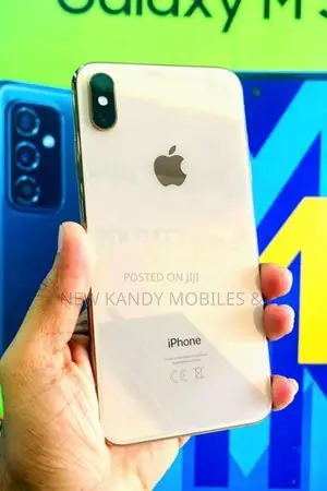 Apple iPhone XS 256GB (Used)