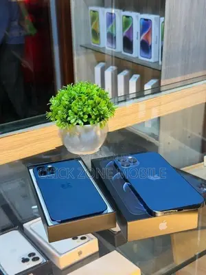 Apple iPhone 12 Pro 256GB (Used)