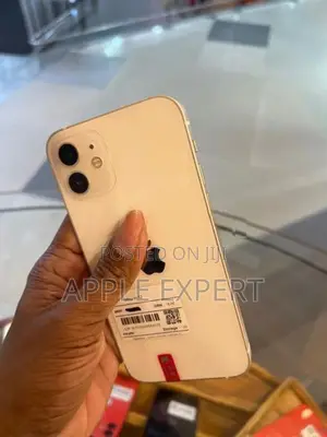Apple iPhone 12 (Used)