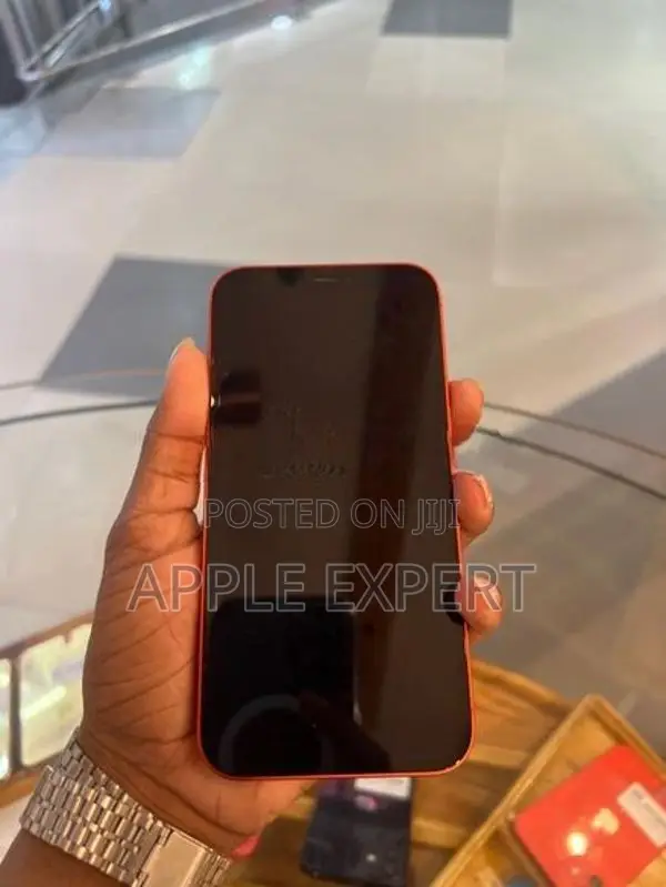 Apple iPhone 12 (Used)
