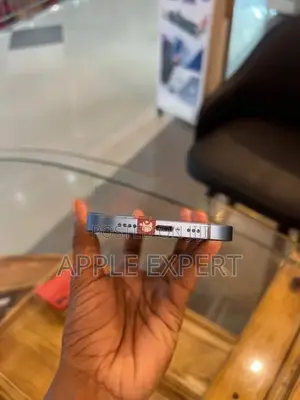 Apple iPhone 12 (Used)
