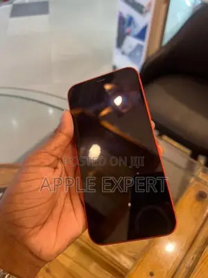 Apple iPhone 12 (Used)