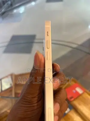 Apple iPhone 12 (Used)