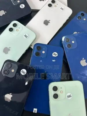 Apple iPhone 12 259 (Used)