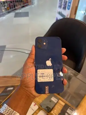 Apple iPhone 12 (Used)