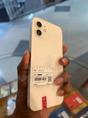 Apple iPhone 12 (Used)
