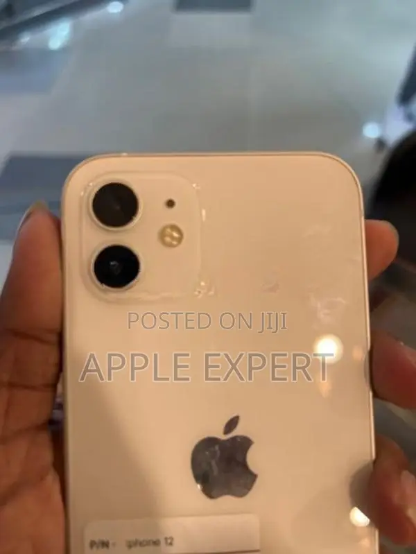 Apple iPhone 12 (Used)