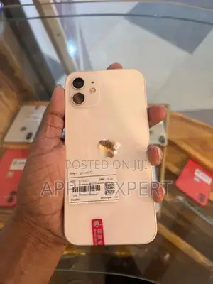 Apple iPhone 12 (Used)