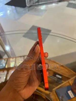 Apple iPhone 12 (Used)