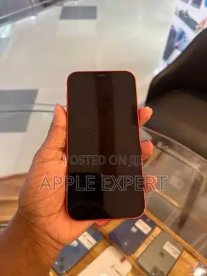 Apple iPhone 12 (Used)