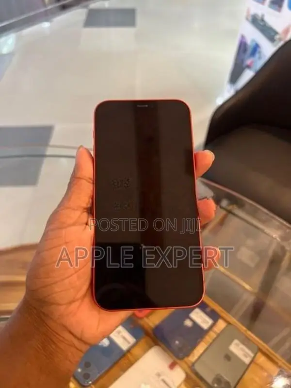 Apple iPhone 12 (Used)