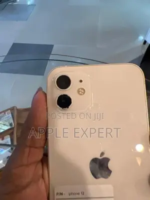 Apple iPhone 12 (Used)