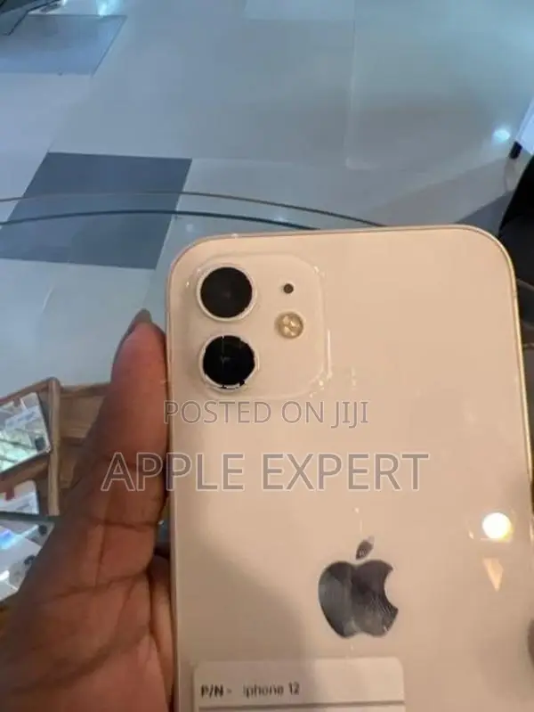 Apple iPhone 12 (Used)