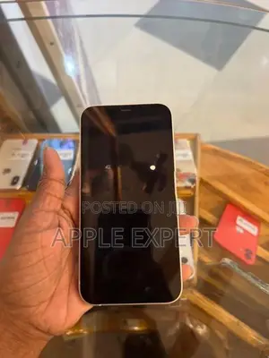 Apple iPhone 12 (Used)