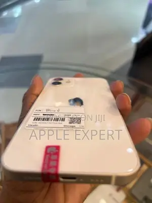 Apple iPhone 12 (Used)