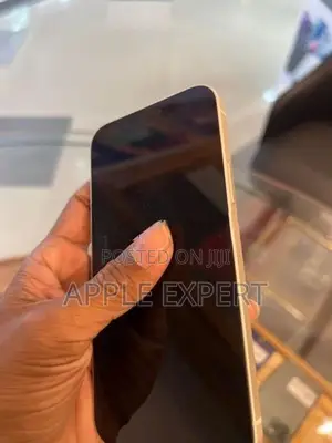 Apple iPhone 12 (Used)