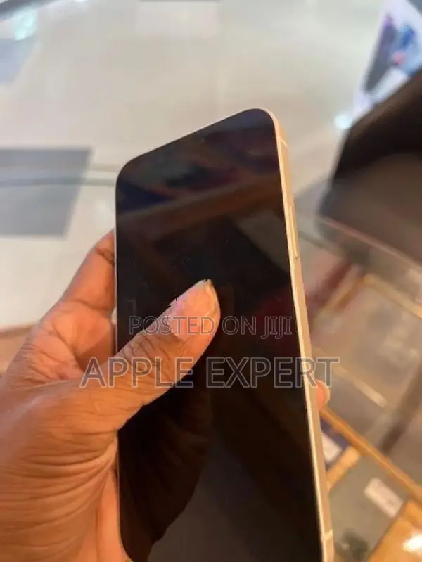 Apple iPhone 12 (Used)