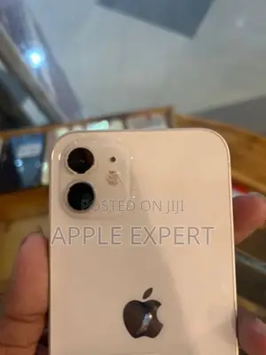 Apple iPhone 12 (Used)
