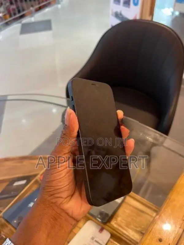 Apple iPhone 12 (Used)