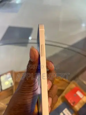Apple iPhone 12 (Used)