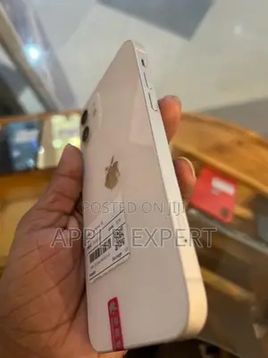 Apple iPhone 12 (Used)