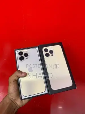 Apple iPhone 13 Pro 256GB (Used)