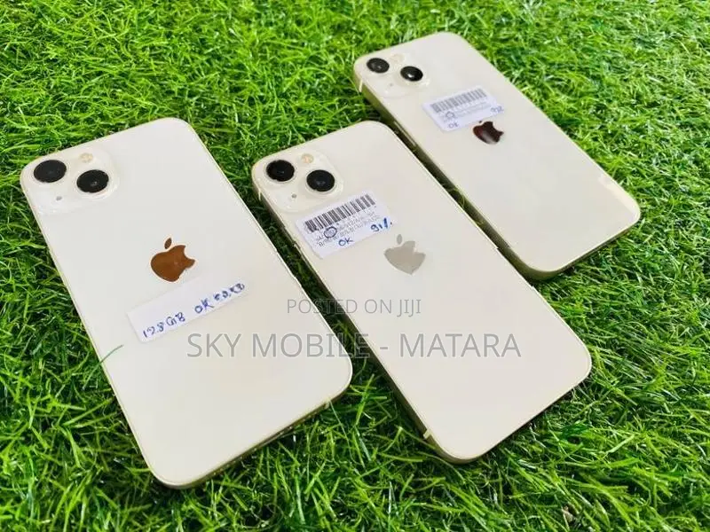 Apple iPhone 13 256GB (Used)