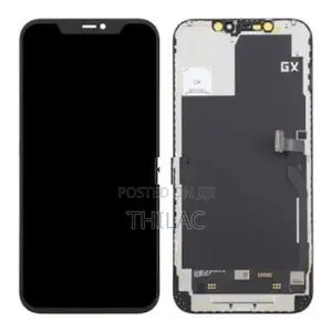 iPhone 11 Pro Max Display