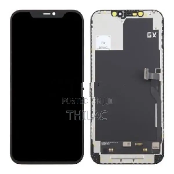iPhone 11 Pro Max Display