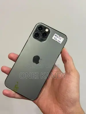 Apple iPhone 12 Pro 256GB (Used)
